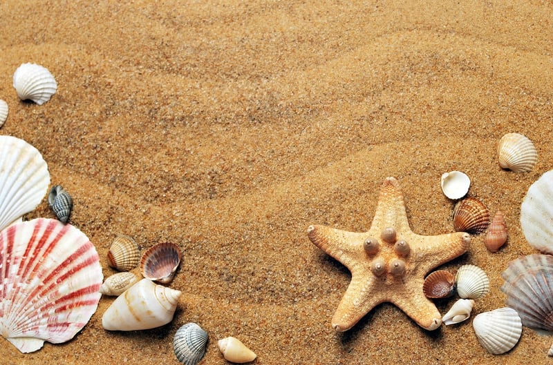 Beach vacation
